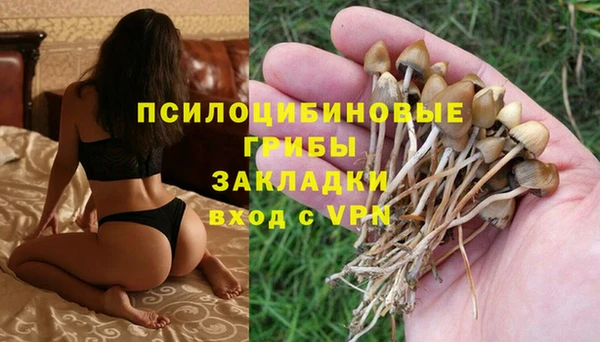 соль ск Балабаново